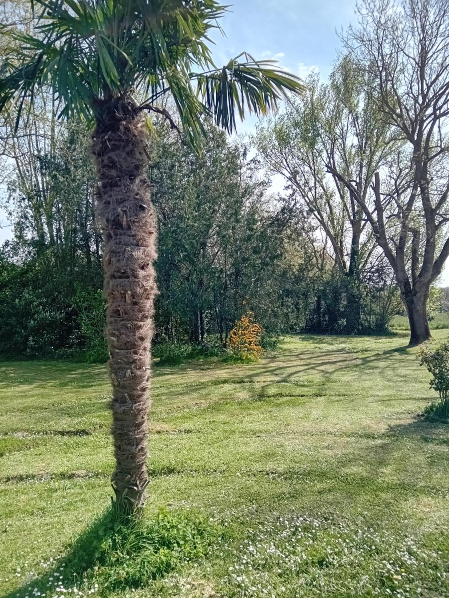 Ferme Aquinaut - Le Paradis Montesquieu-Volvestre 外观 照片